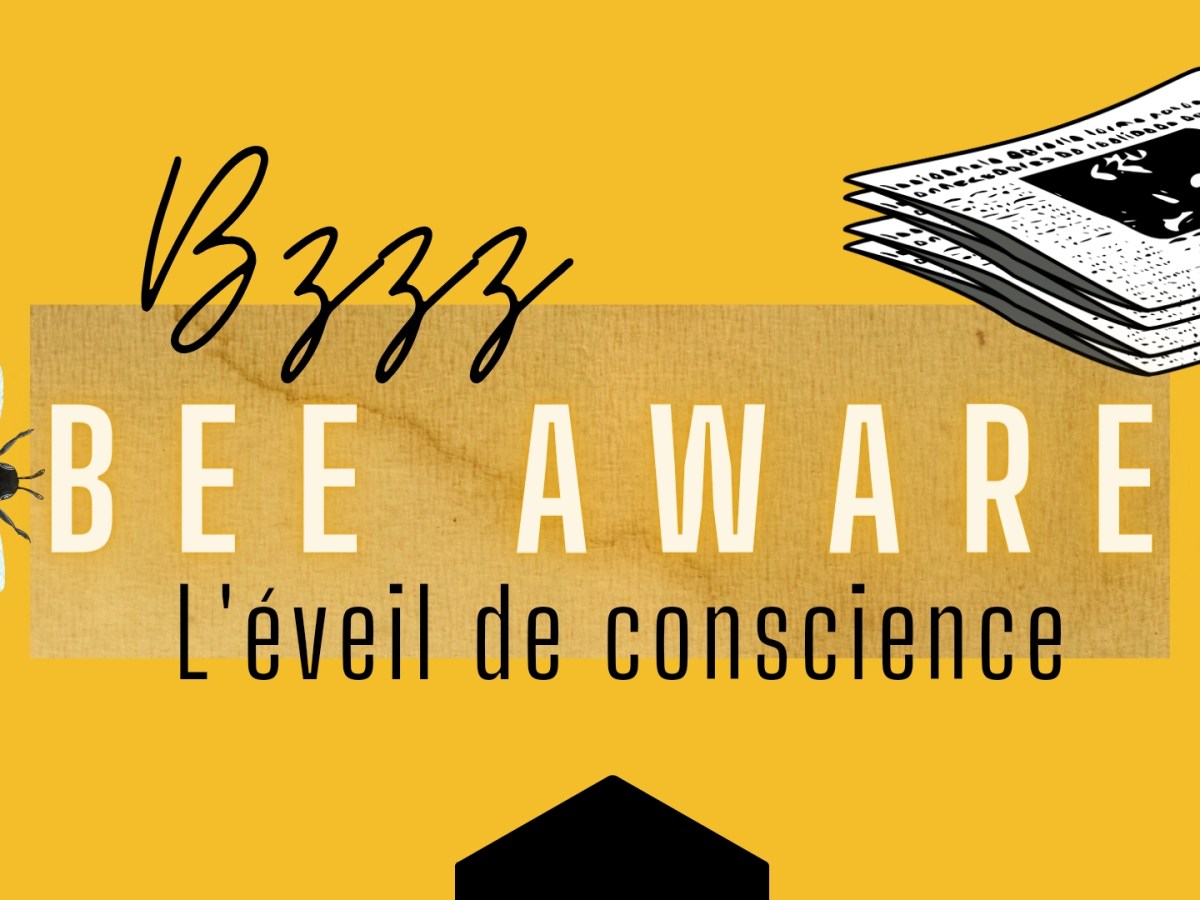 TON EVEIL DE&nbsp;CONSCIENCE
