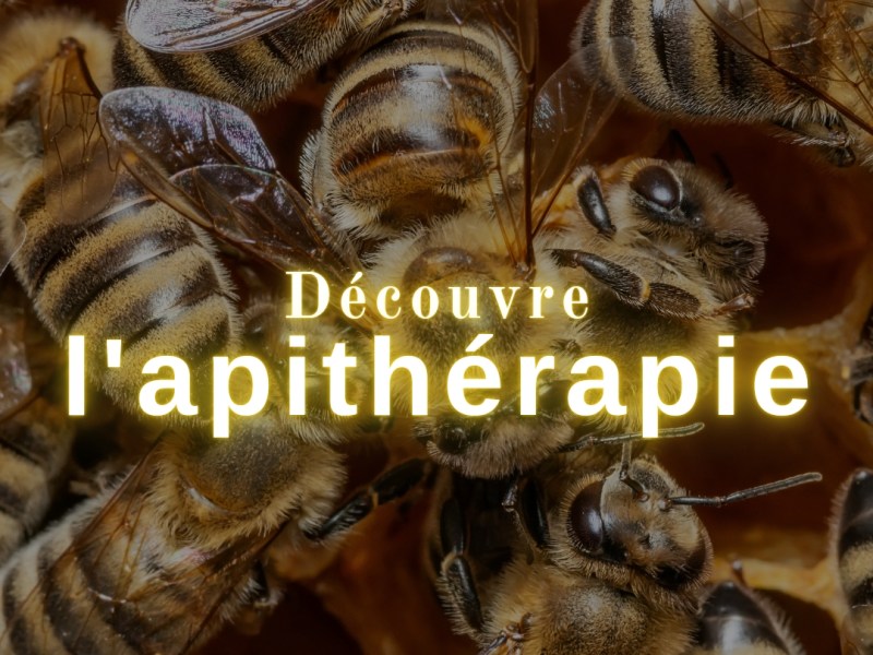APITHÉRAPIE