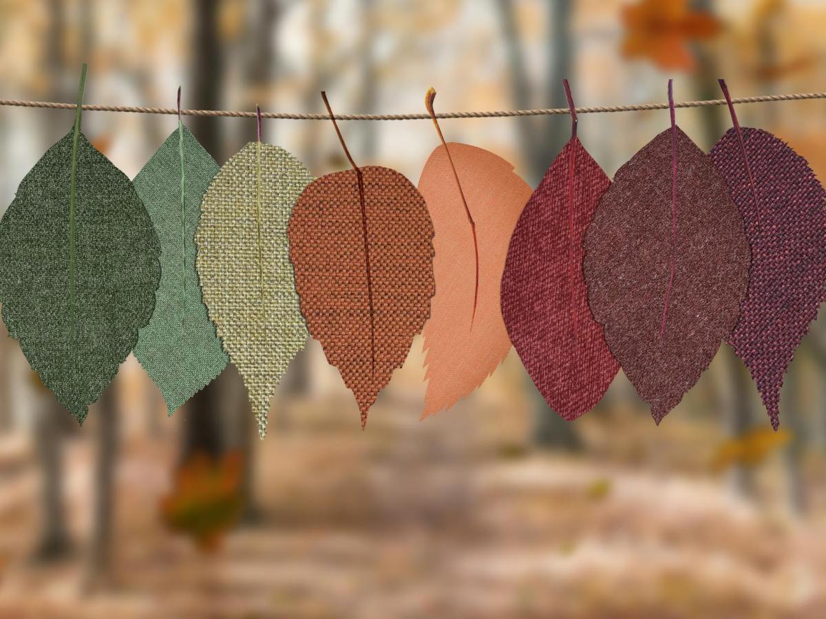 Automne : le temps de la&nbsp;récolte