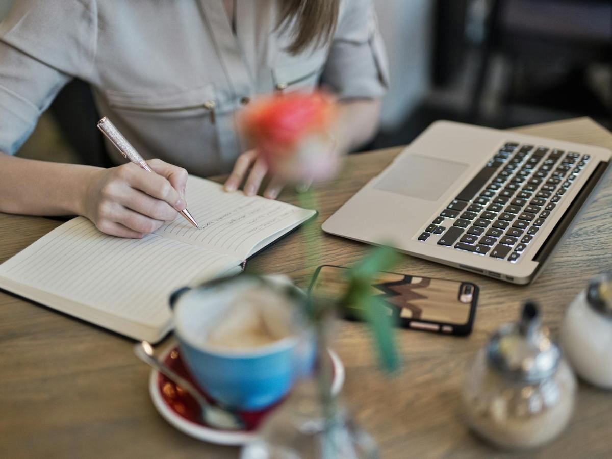Journal de bord d&rsquo;une apprentie CIP (Conseillère en Insertion Professionnelle) : Découverte de ma nouvelle&nbsp;ruche.