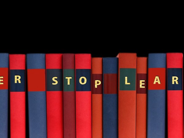 La formation pour adulte : un tremplin professionnel réellement adapté (aux&nbsp;adultes)